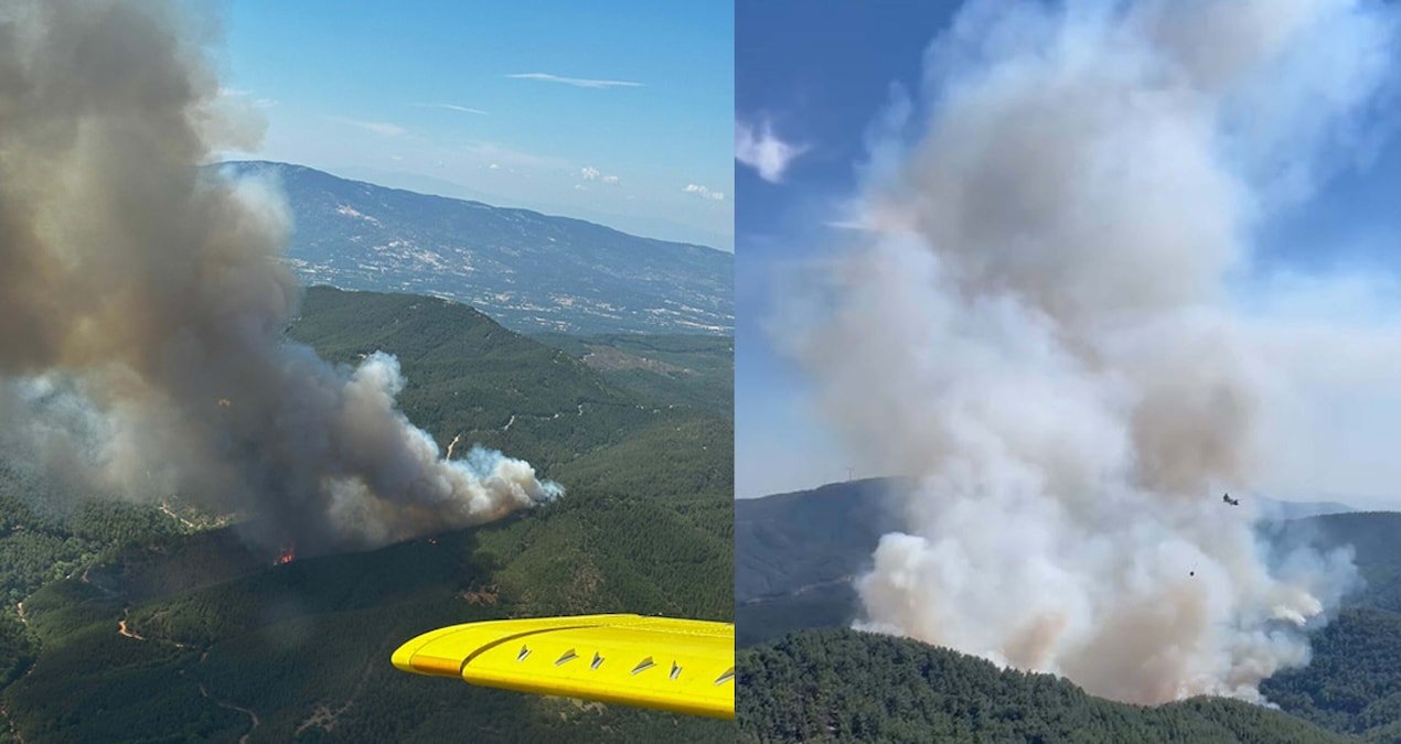 İzmir’de orman yangını: Havadan ve karadan müdahale ediliyor